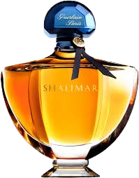 Ranjeet Coaching Classes